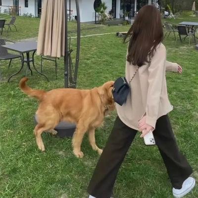 檀香迷案